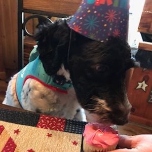 Meet your Posher, Kayla